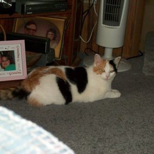 Meet your Posher, Roberta